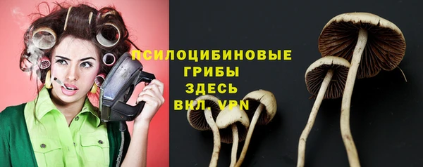 сатива Инсар