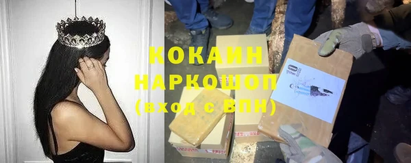 сатива Инсар