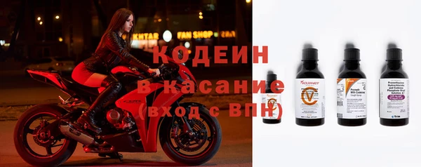 сатива Инсар