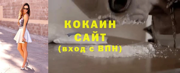 сатива Инсар