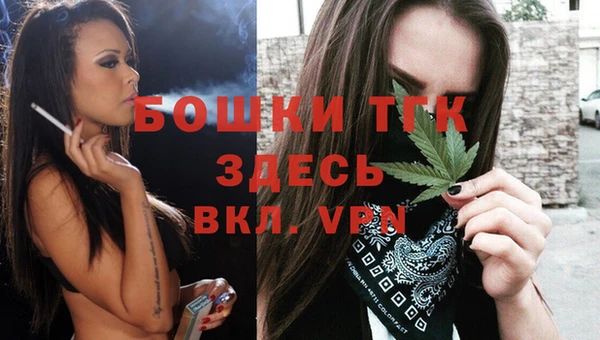 сатива Инсар