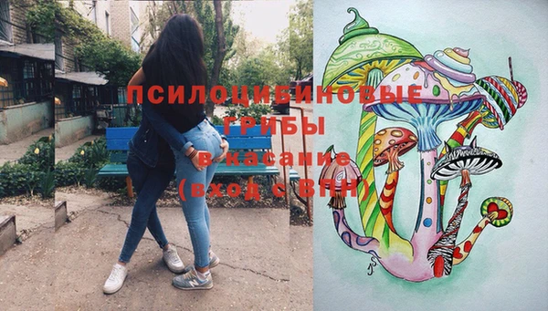 сатива Инсар