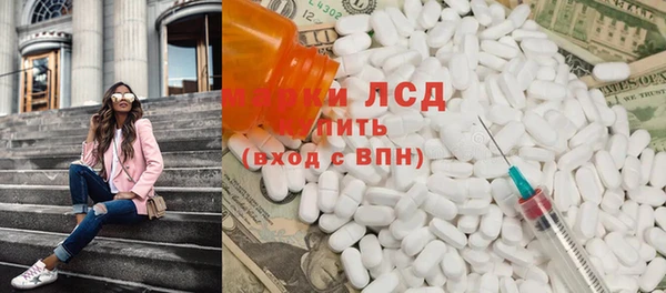 сатива Инсар