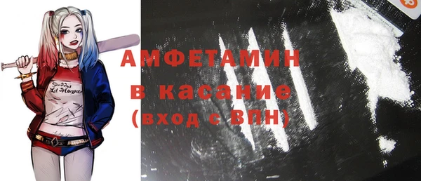 сатива Инсар